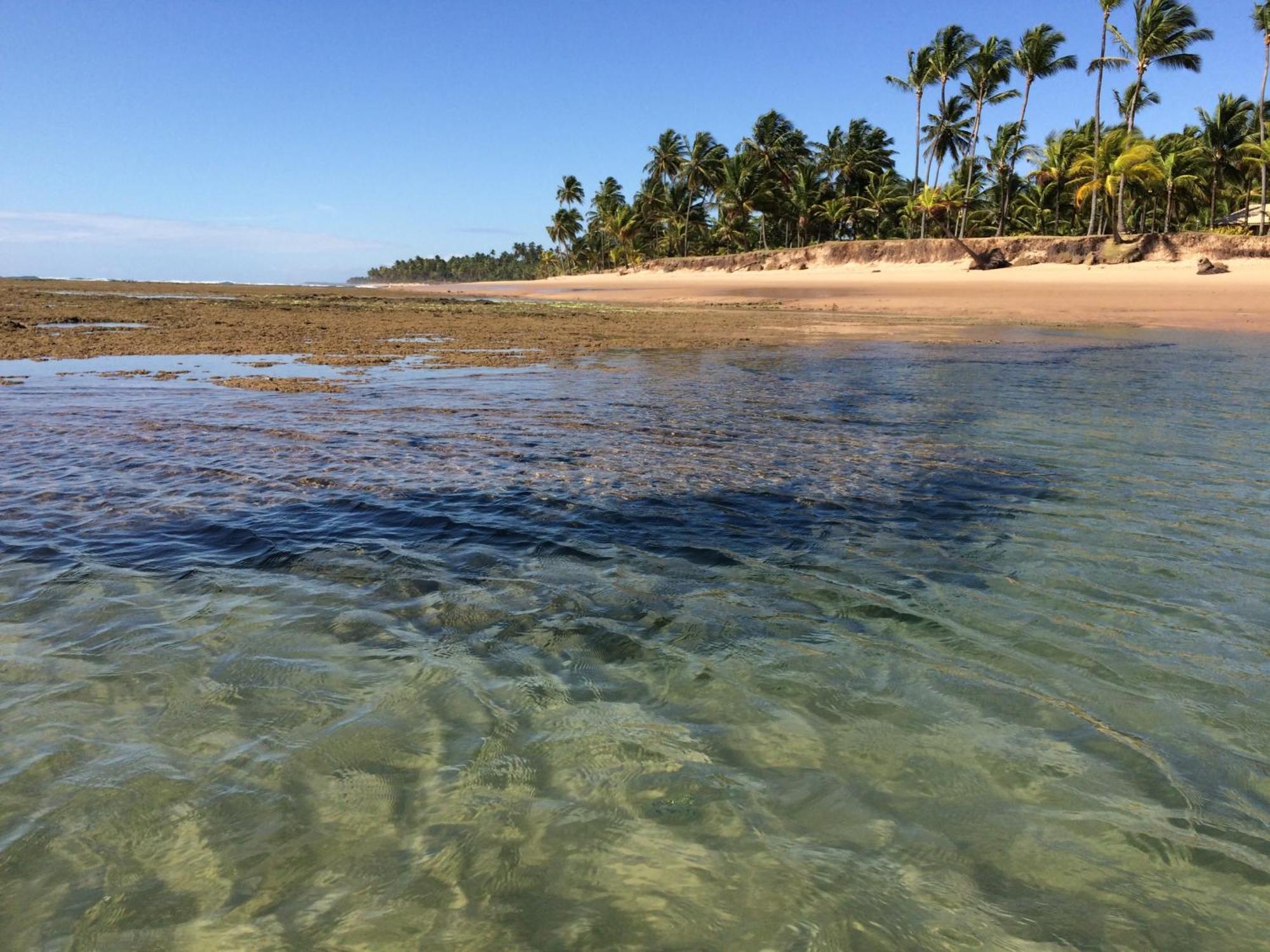 Pousada Velas E Vento - Barra Grande, Taipu De Fora, Marau Barra Grande  Bagian luar foto