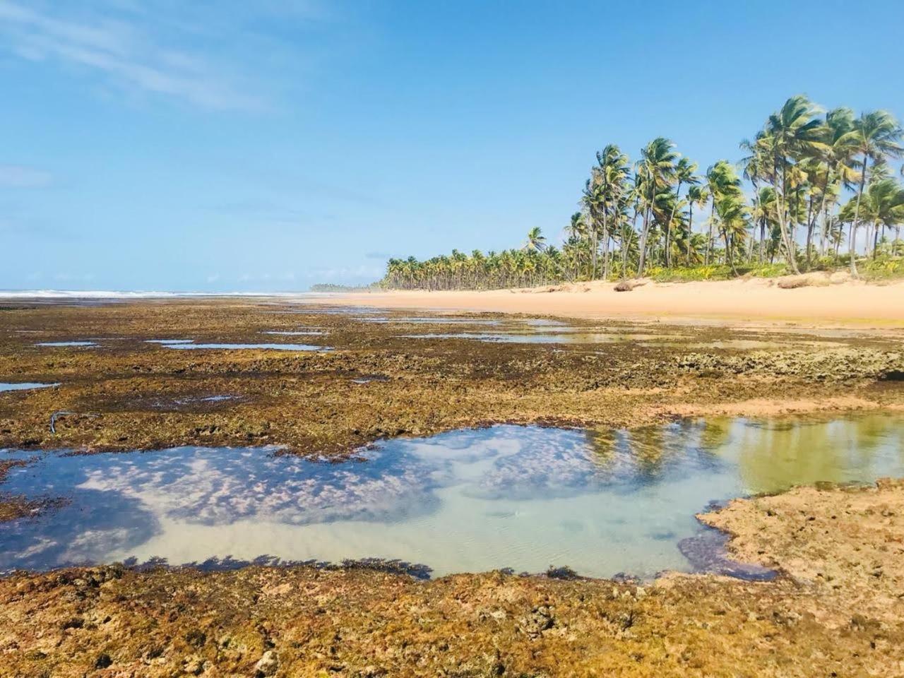 Pousada Velas E Vento - Barra Grande, Taipu De Fora, Marau Barra Grande  Bagian luar foto